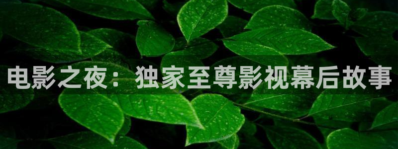 策驰影院高清版免费观看：电影之夜：独家至尊影视幕后故事