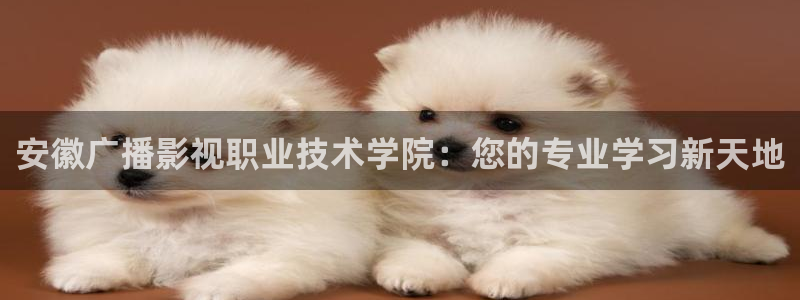 错位电视剧免费播放策驰影院：安徽广播影视职业技术学院：您的专业学习新天地