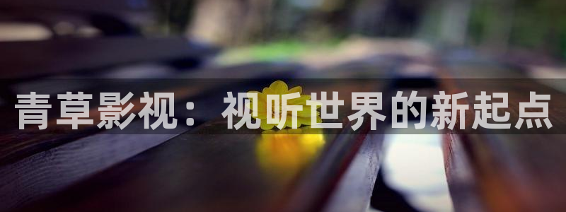 《归路》电视剧在线观看策驰影院：青草影视：视听世界的新起点